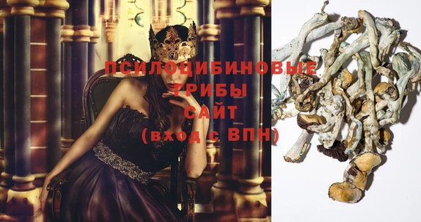 круглые Магас