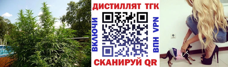 наркотики  Светлогорск  ТГК вейп с тгк 