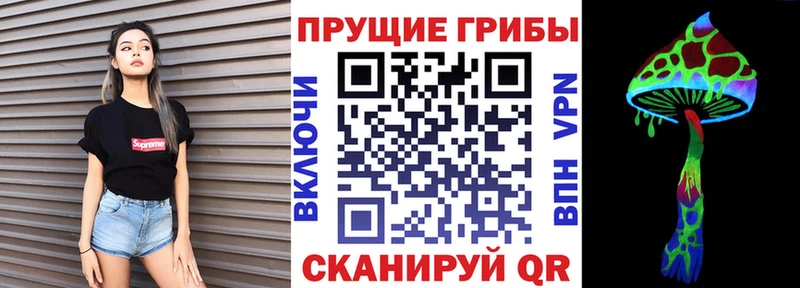 ссылка на мегу ссылки  Светлогорск  Галлюциногенные грибы MAGIC MUSHROOMS 